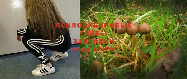 таблы Алексин